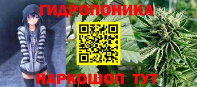 гашиш Дубна