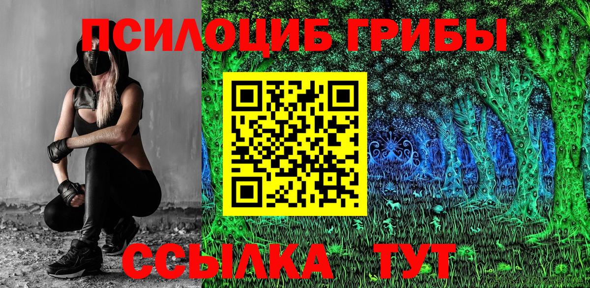 Канаш  сколько стоит  Вход с VPN  Галлюциногенные грибы MAGIC MUSHROOMS 