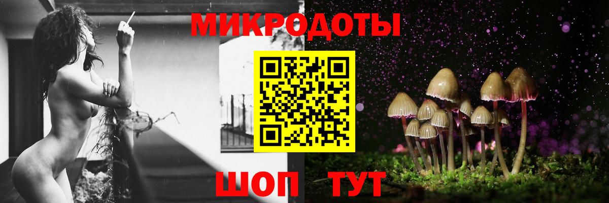 Галлюциногенные грибы GOLDEN TEACHER Канаш