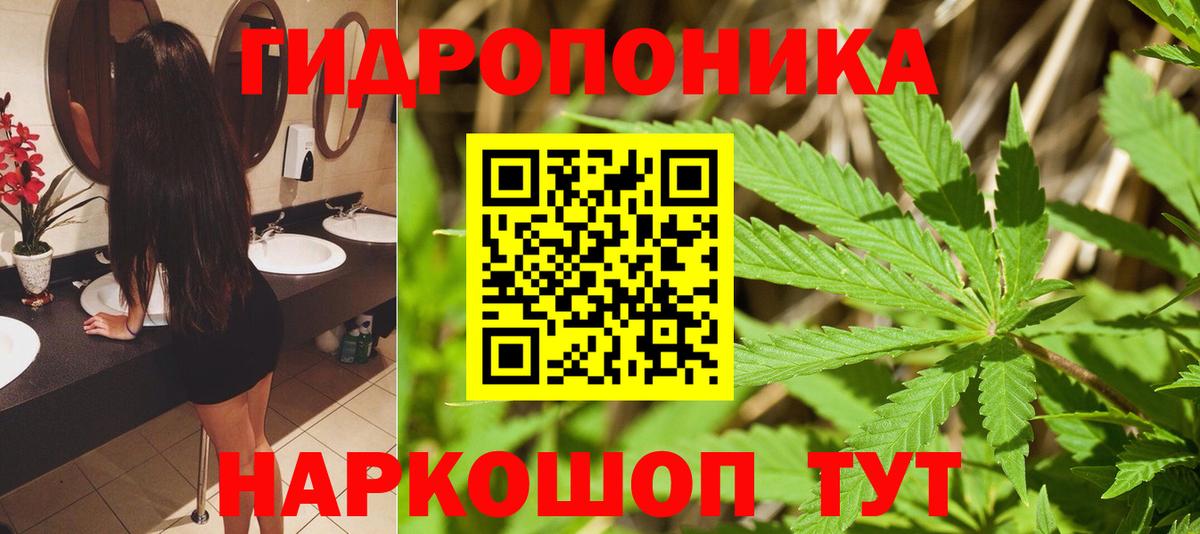 Бошки марихуана SATIVA & INDICA  МАРИХУАНА LSD WEED  Вход с VPN  Шишки марихуана гибрид  Канаш 